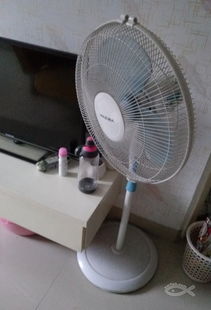 閑置家居物品整理與處理指南 從風扇到衣架